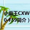 小霸王CXW-200-F59（關于小霸王CXW-200-F59簡介）