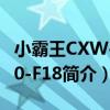小霸王CXW-200-F18（關于小霸王CXW-200-F18簡介）