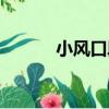 小風口段（關于小風口段簡介）
