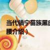 當代鎮寧苗族黑白花塊圍腰（關于當代鎮寧苗族黑白花塊圍腰介紹）