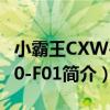 小霸王CXW-200-F01（關于小霸王CXW-200-F01簡介）