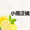 小雨泛鏡湖（關于小雨泛鏡湖簡介）
