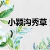 小穎溝秀草 變種（關于小穎溝秀草 變種簡介）
