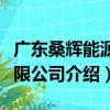 廣東桑輝能源有限公司（關于廣東桑輝能源有限公司介紹）