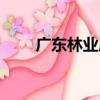 廣東林業局（關于廣東林業局介紹）