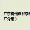 廣東梅州嘉谷雜糧粉食品廠（關于廣東梅州嘉谷雜糧粉食品廠介紹）