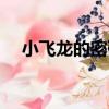 小飛龍的密碼（關于小飛龍的密碼簡介）