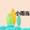 小雨當家（關于小雨當家簡介）