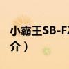 小霸王SB-FZ40A（關于小霸王SB-FZ40A簡介）