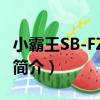 小霸王SB-FZ50D1（關于小霸王SB-FZ50D1簡介）