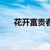 花開富貴春意濃（花開富貴春十字繡）