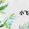小飛機（關于小飛機簡介）