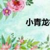小青龍街（關于小青龍街簡介）