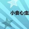 小食心蟲族（關于小食心蟲族簡介）