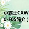 小霸王CXW-200-F05（關于小霸王CXW-200-F05簡介）