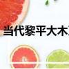 當代黎平大木刀（關于當代黎平大木刀介紹）
