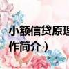 小額信貸原理及運作（關于小額信貸原理及運作簡介）