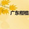 廣東柑桔網（關于廣東柑桔網介紹）