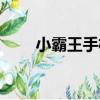 小霸王手機（關于小霸王手機簡介）