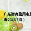廣東智有盈用電服務有限公司（關于廣東智有盈用電服務有限公司介紹）