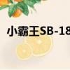 小霸王SB-18V（關于小霸王SB-18V簡介）