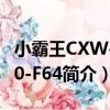小霸王CXW-200-F64（關于小霸王CXW-200-F64簡介）