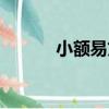 小額易貸（關于小額易貸簡介）