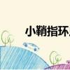 小鞘指環蟲（關于小鞘指環蟲簡介）