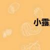 小露露（關于小露露簡介）