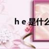 h e 是什么意思（H E 是什么的縮寫）