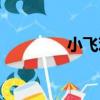 小飛雞（關于小飛雞簡介）