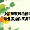 小額貸款風險管理與業務操作實務（關于小額貸款風險管理與業務操作實務簡介）