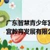 廣東智慧青少年宮教育發展有限公司（關于廣東智慧青少年宮教育發展有限公司介紹）