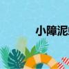 小障泥蛤（關于小障泥蛤簡介）