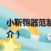 小靳匏器范制技藝（關于小靳匏器范制技藝簡介）