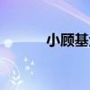 小顧基金（關于小顧基金簡介）