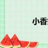 小香妃（關于小香妃簡介）
