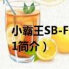 小霸王SB-FX40A1（關于小霸王SB-FX40A1簡介）