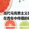 當代馬克思主義在青年中傳播的研究（關于當代馬克思主義在青年中傳播的研究介紹）