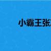 小霸王張沖（關于小霸王張沖簡介）