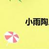 小雨陶人（關于小雨陶人簡介）