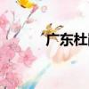 廣東杜鵑（關于廣東杜鵑介紹）