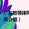 廣東智領律師事務所（關于廣東智領律師事務所介紹）