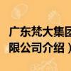 廣東梵大集團有限公司（關于廣東梵大集團有限公司介紹）