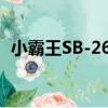 小霸王SB-26B（關于小霸王SB-26B簡介）