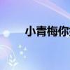 小青梅你好（關于小青梅你好簡介）