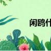閑鷗什么意思（xo什么意思）