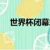 世界杯閉幕式歌曲曲目（世界杯閉幕式）