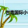 世青國際小學新鄉招聘（世青國際小學）