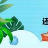 還有我的泰迪小公狗